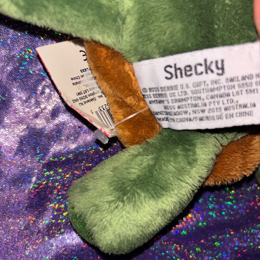 Shecky Turtle By RUSS - Picture 8 of 8